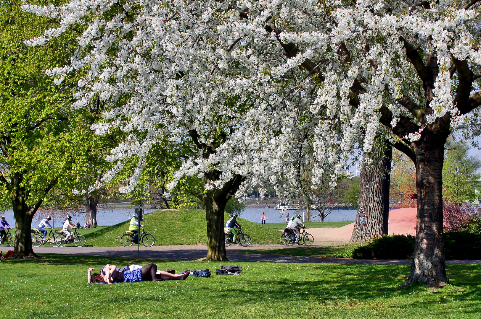 Frühling im Rheinpark ...