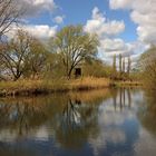 Frühling im Ried