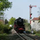 Frühling im Ried