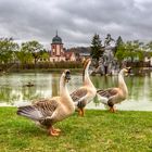 Frühling? - im Rokokogarten von Veitshöchheim