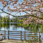 Frühling im Rombergpark