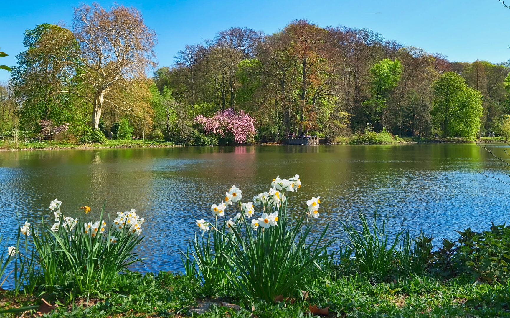 Frühling im Rombergpark