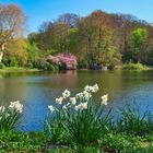 Frühling im Rombergpark