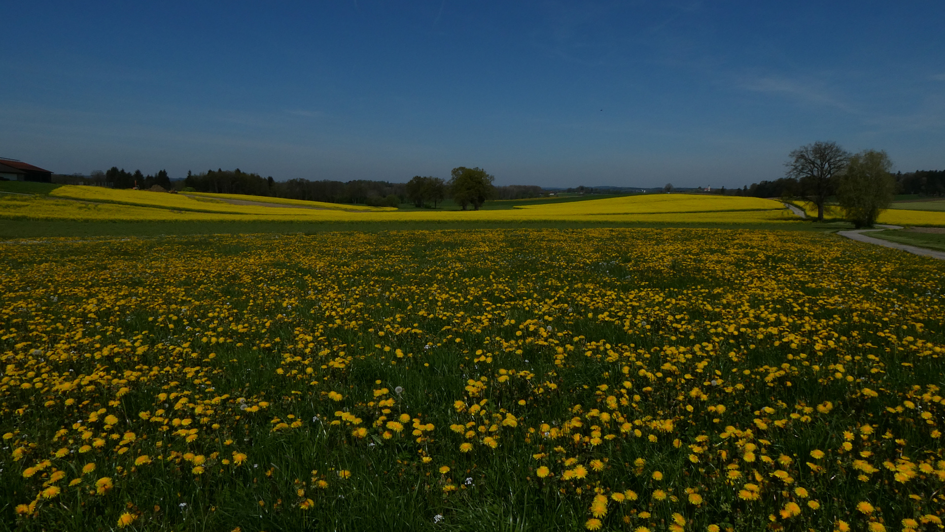 Frühling im Rosenheimer Land