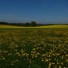 Frühling im Rosenheimer Land