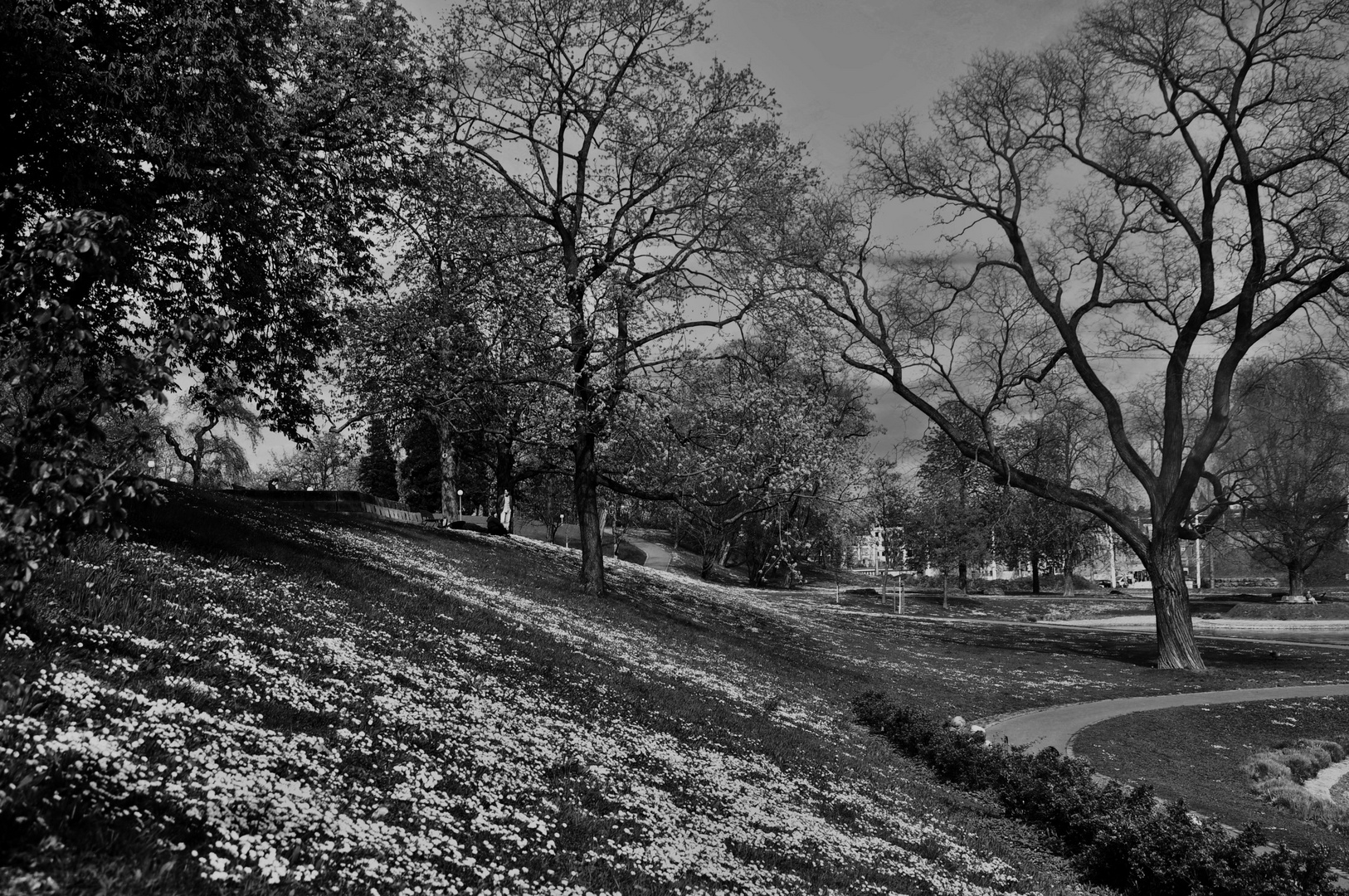 Frühling im Rosensteinpark