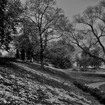 Frühling im Rosensteinpark