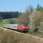 Frühling im Rottal (2)