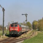 Frühling im Rottal (3)