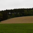 Frühling im Rottal