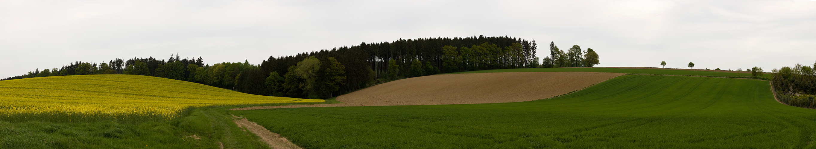 Frühling im Rottal