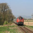 Frühling im Rottal