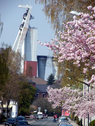 Frühling im Ruhrgebiet