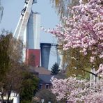 Frühling im Ruhrgebiet