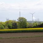 Frühling im Ruhrgebiet