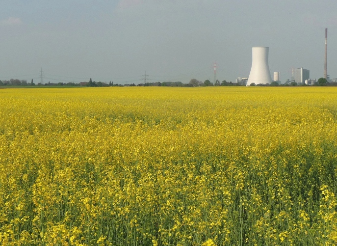 Frühling im Ruhrpott 6