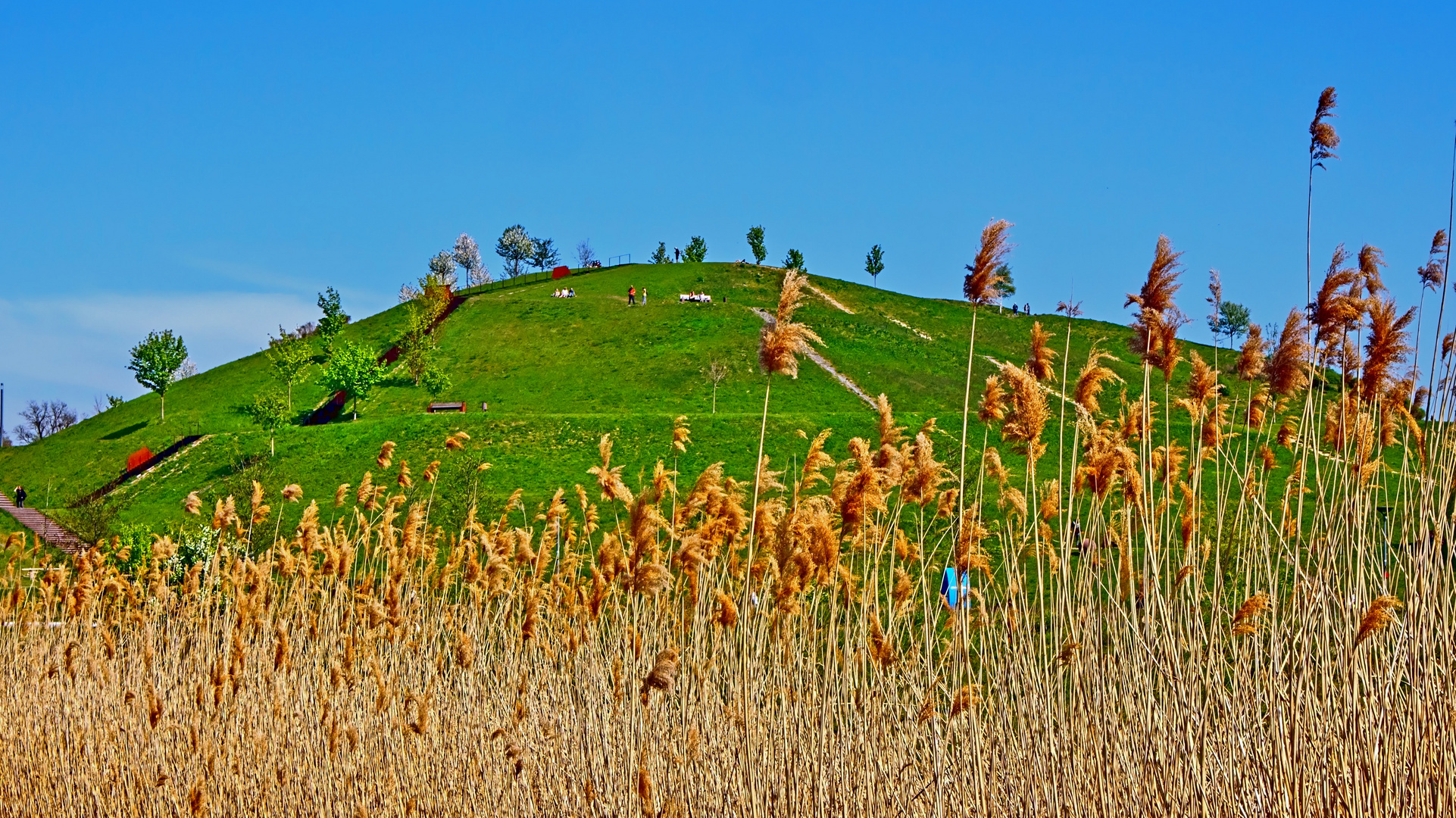 Frühling im Ruhrpott