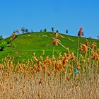 Frühling im Ruhrpott