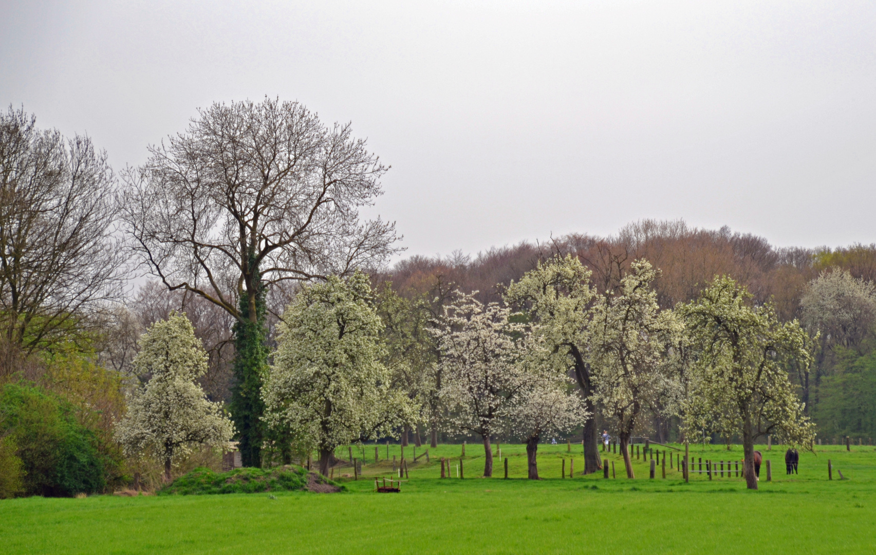 Frühling im Ruhrpott