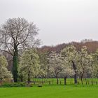 Frühling im Ruhrpott