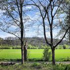 Frühling im Ruhrtal