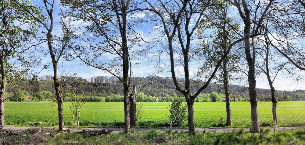 Frühling im Ruhrtal