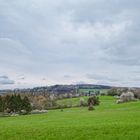 Frühling im Saarland (3)