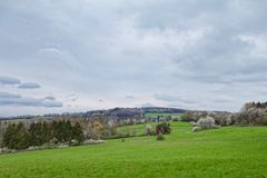 Frühling im Saarland (3)