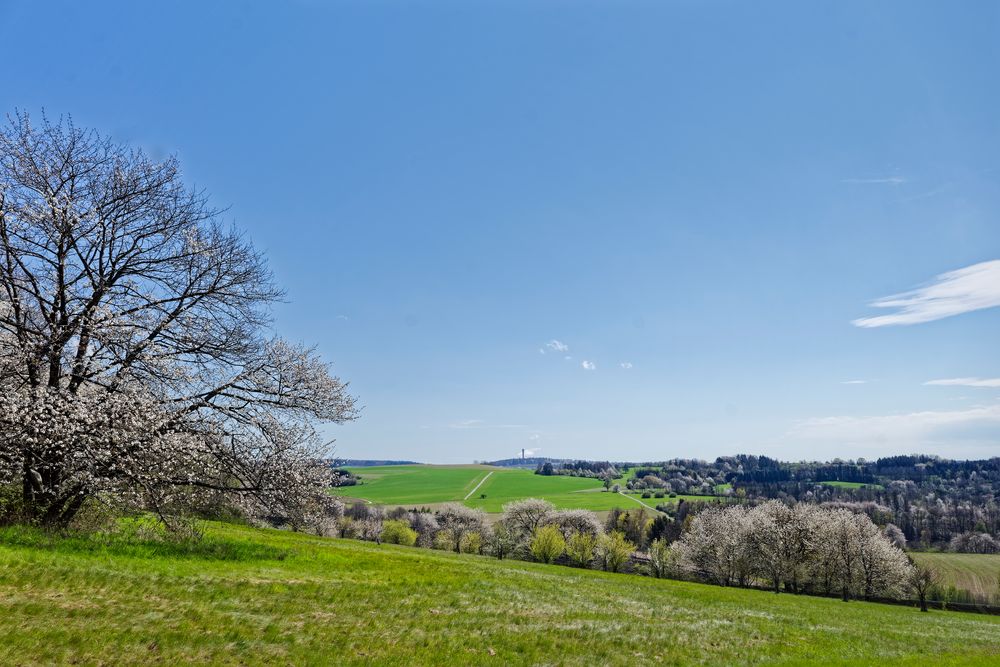 Frühling im Saarland (4)