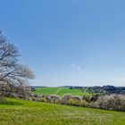 Frühling im Saarland (4)