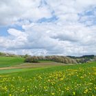 Frühling im Saarland (5)