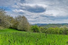 Frühling im Saarland (6)