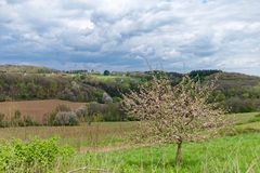 Frühling im Saarland (7)