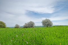 Frühling im Saarland (8)