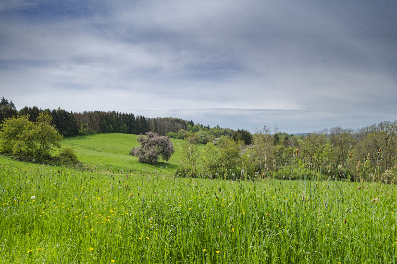 Frühling im Saarland (9)