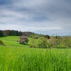 Frühling im Saarland (9)