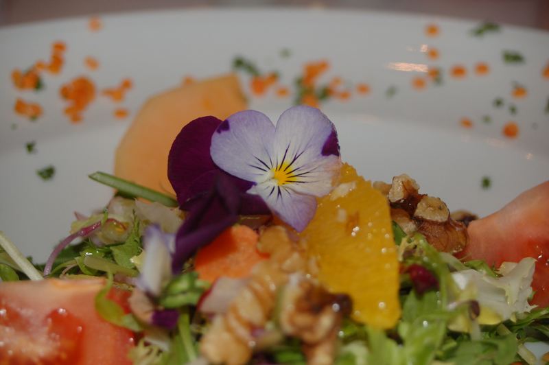 Frühling im Salat