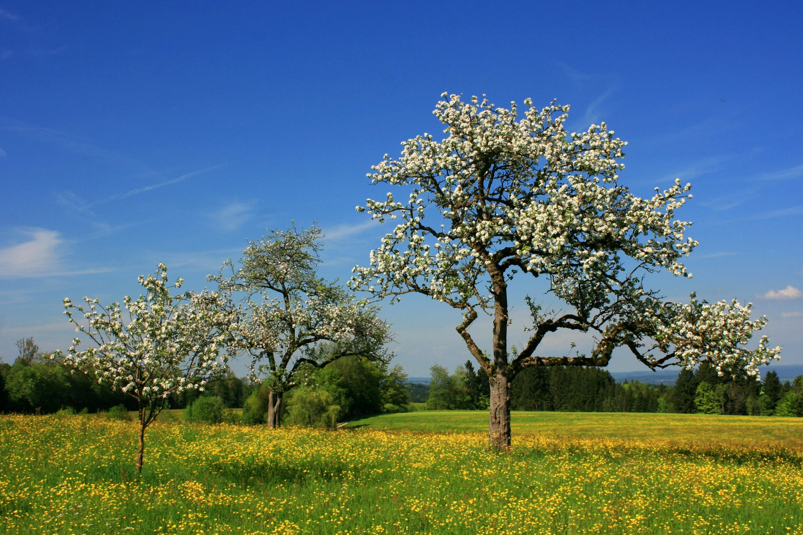 Frühling im Salzburger Land