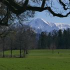 Frühling im Salzburger Land