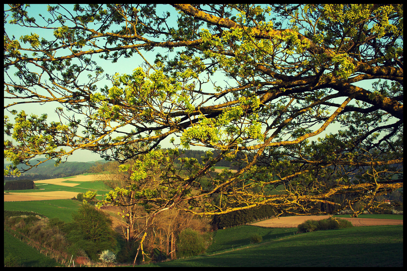 Frühling im Sauerland 2