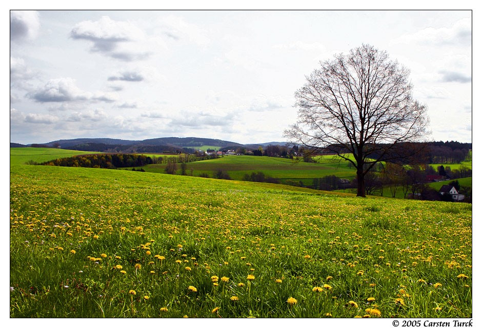 ~ frühling im sauerland ~