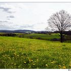 ~ frühling im sauerland ~