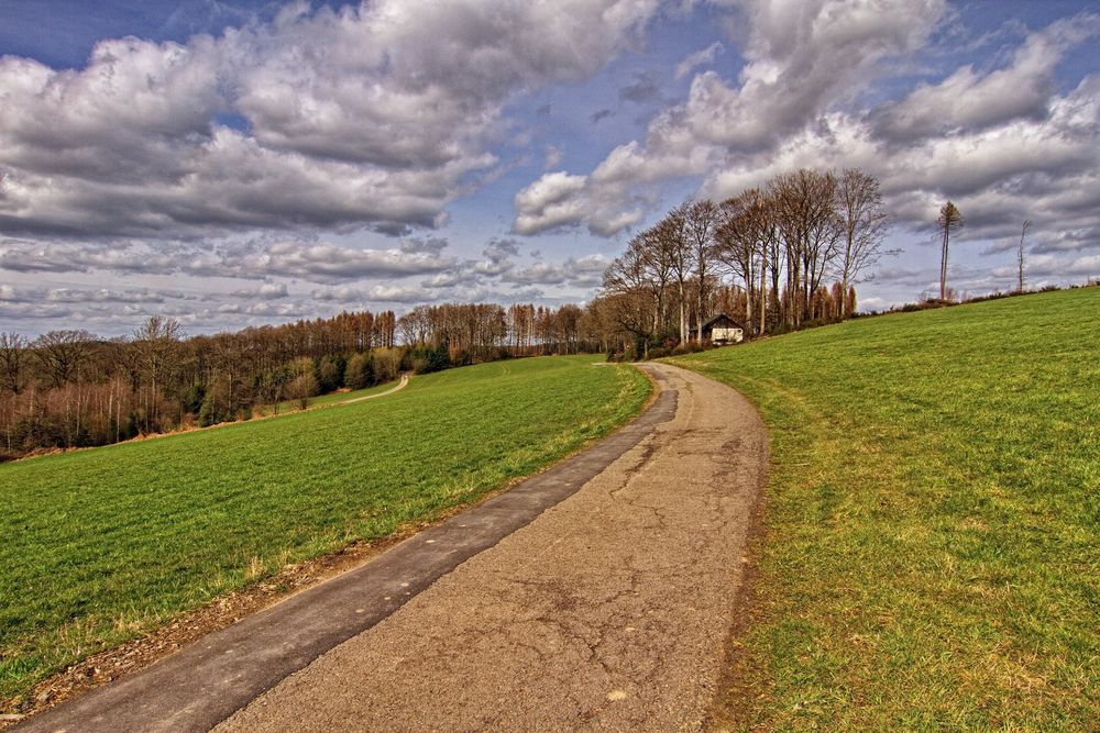 Frühling im Sauerland