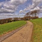 Frühling im Sauerland