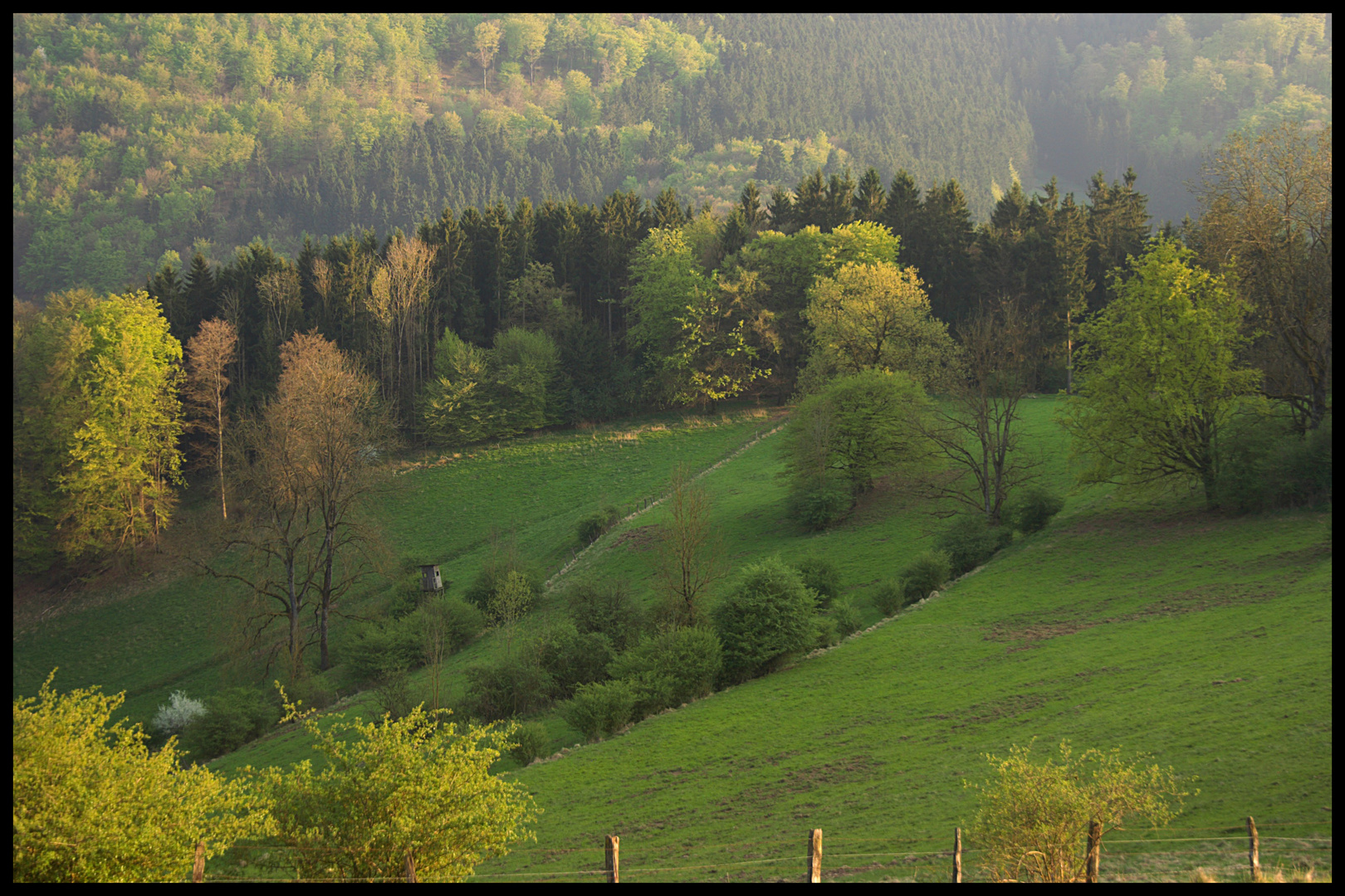 Frühling im Sauerland 4