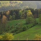 Frühling im Sauerland 4