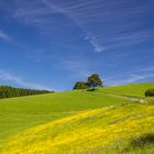 Frühling im Sauerland