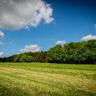 Frühling im Sauerland