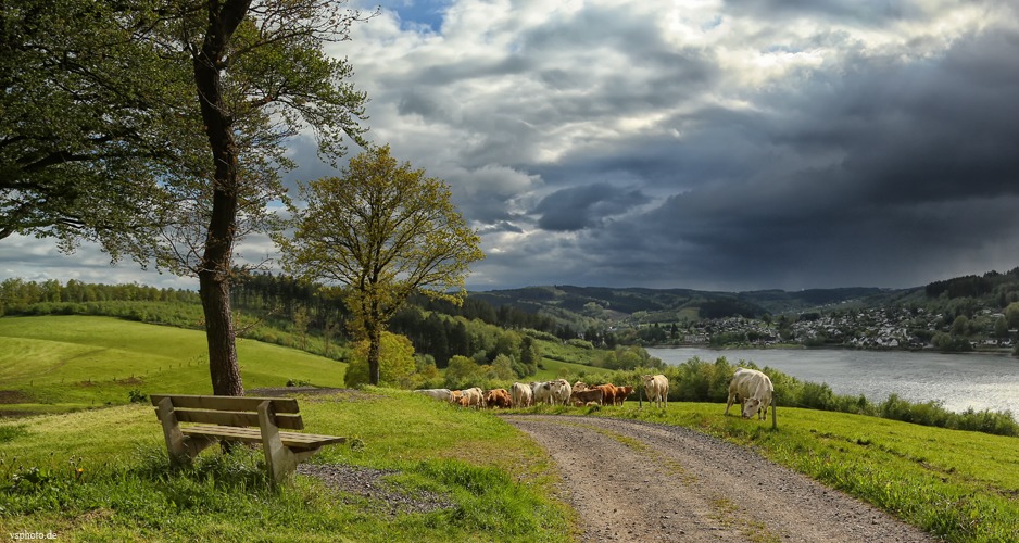 Frühling im Sauerland