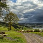 Frühling im Sauerland